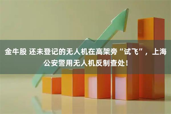 金牛股 还未登记的无人机在高架旁“试飞”，上海公安警用无人机反制查处！