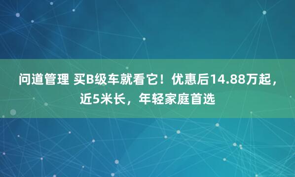 问道管理 买B级车就看它！优惠后14.88万起，近5米长，年轻家庭首选