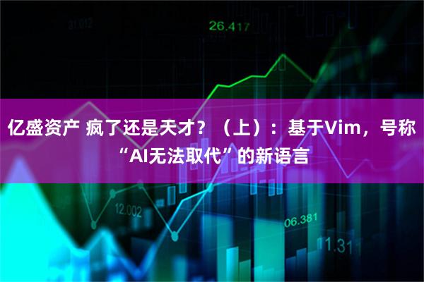 亿盛资产 疯了还是天才？（上）：基于Vim，号称“AI无法取代”的新语言