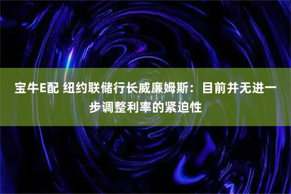 宝牛E配 纽约联储行长威廉姆斯：目前并无进一步调整利率的紧迫性