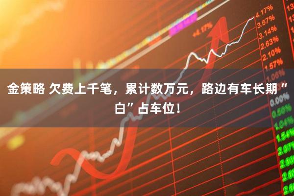 金策略 欠费上千笔，累计数万元，路边有车长期“白”占车位！
